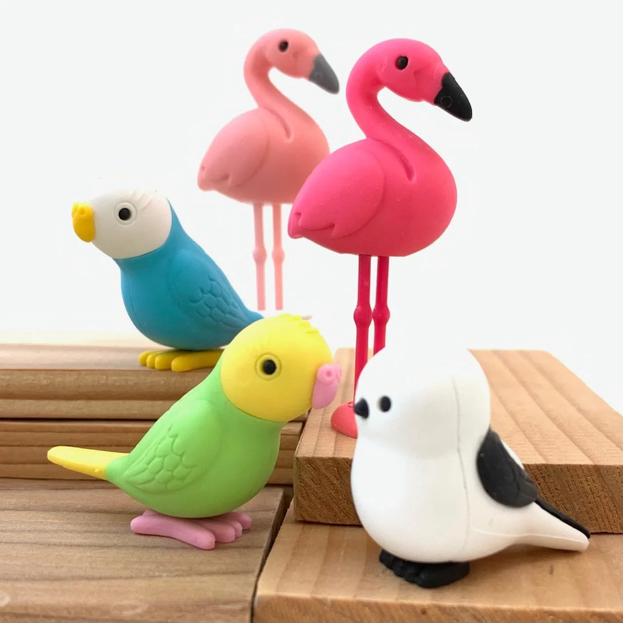 380051 BIRDS ERASERS-30