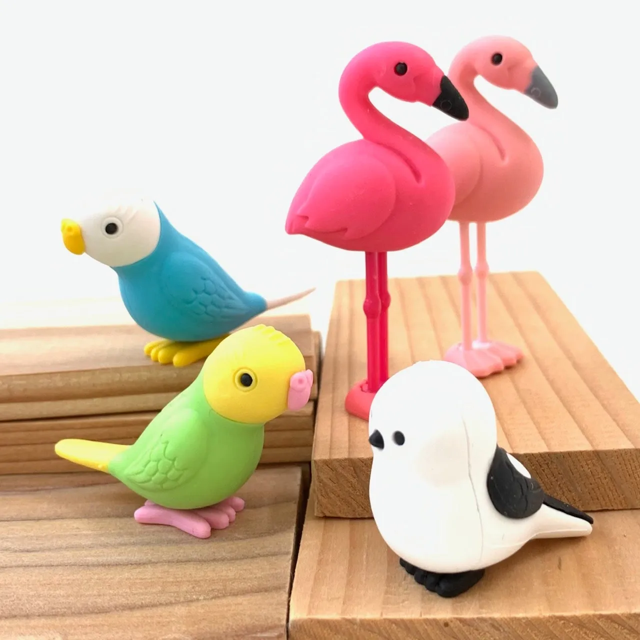 380051 BIRDS ERASERS-30