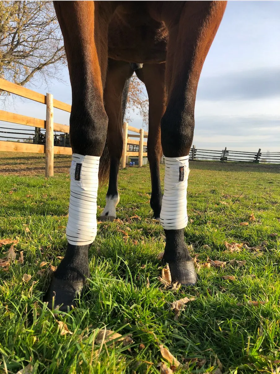 Anatomeq CoolSupport Combi Polos for Sensitive Horses