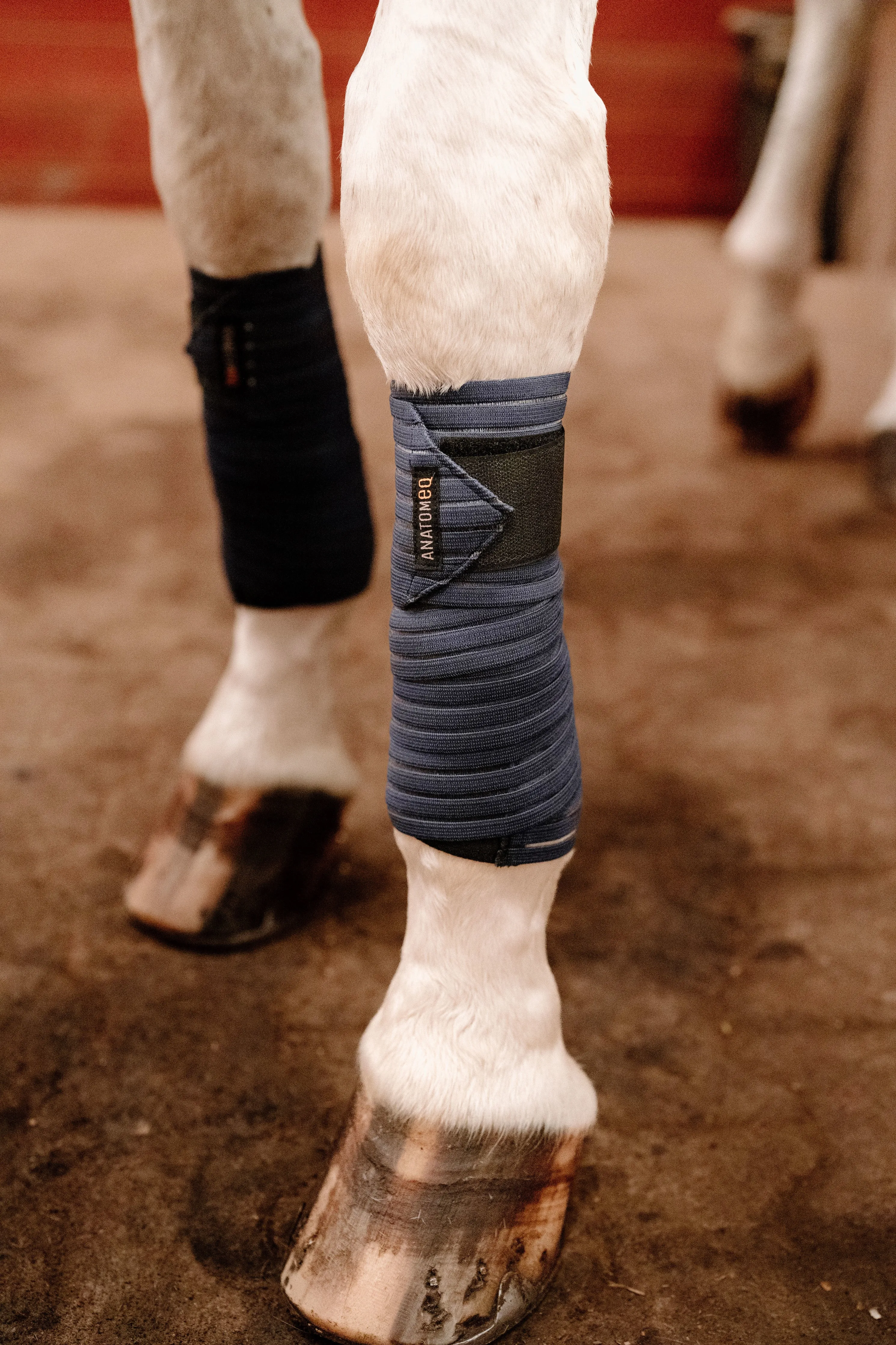 Anatomeq CoolSupport Combi Polos for Sensitive Horses