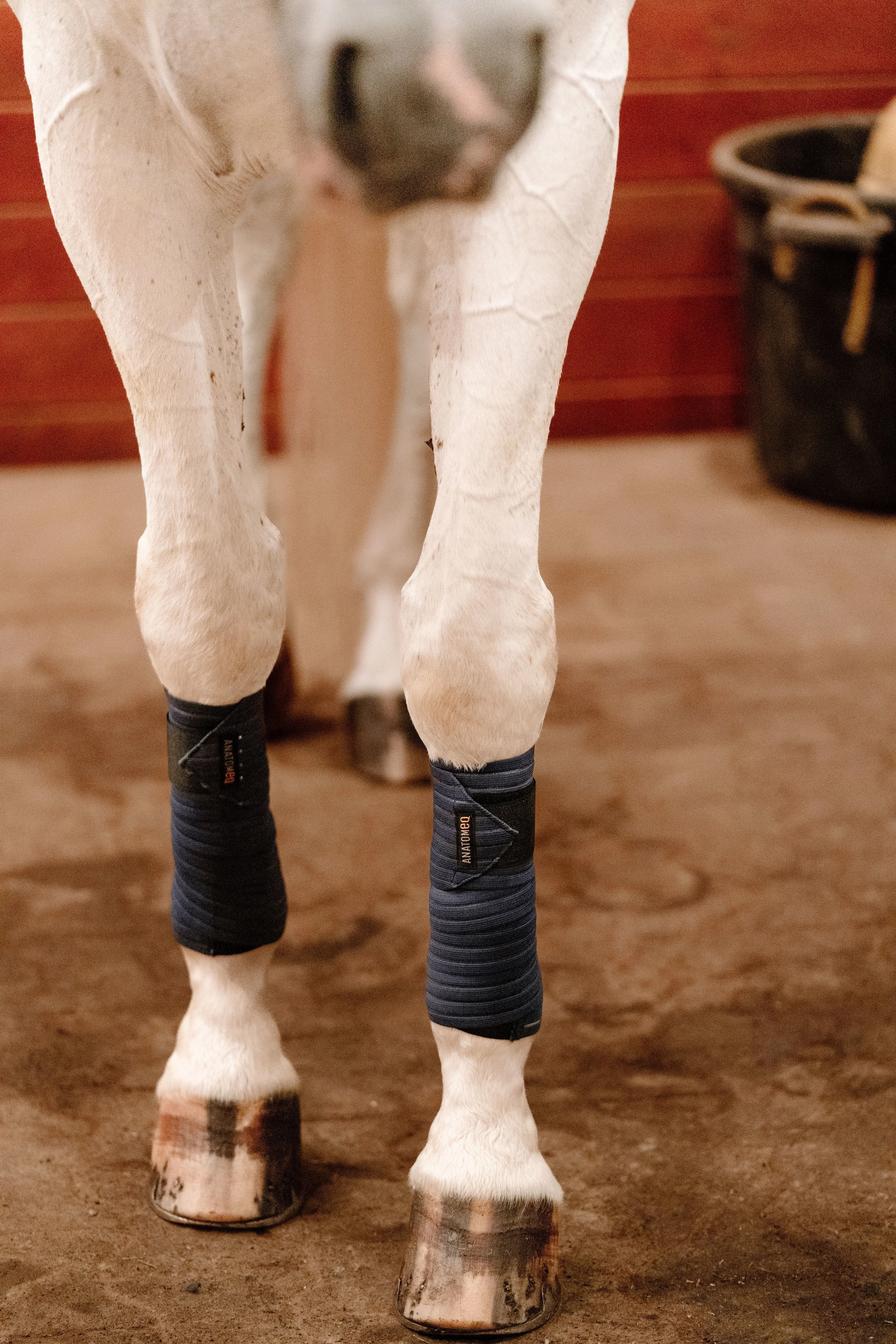 Anatomeq CoolSupport Combi Polos for Sensitive Horses