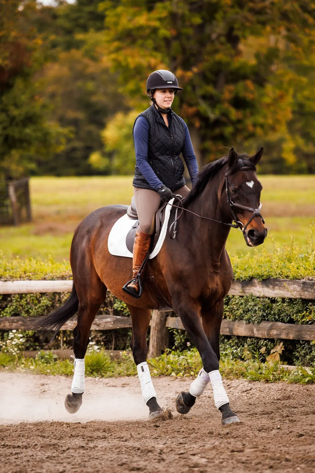 Anatomeq CoolSupport Combi Polos for Sensitive Horses