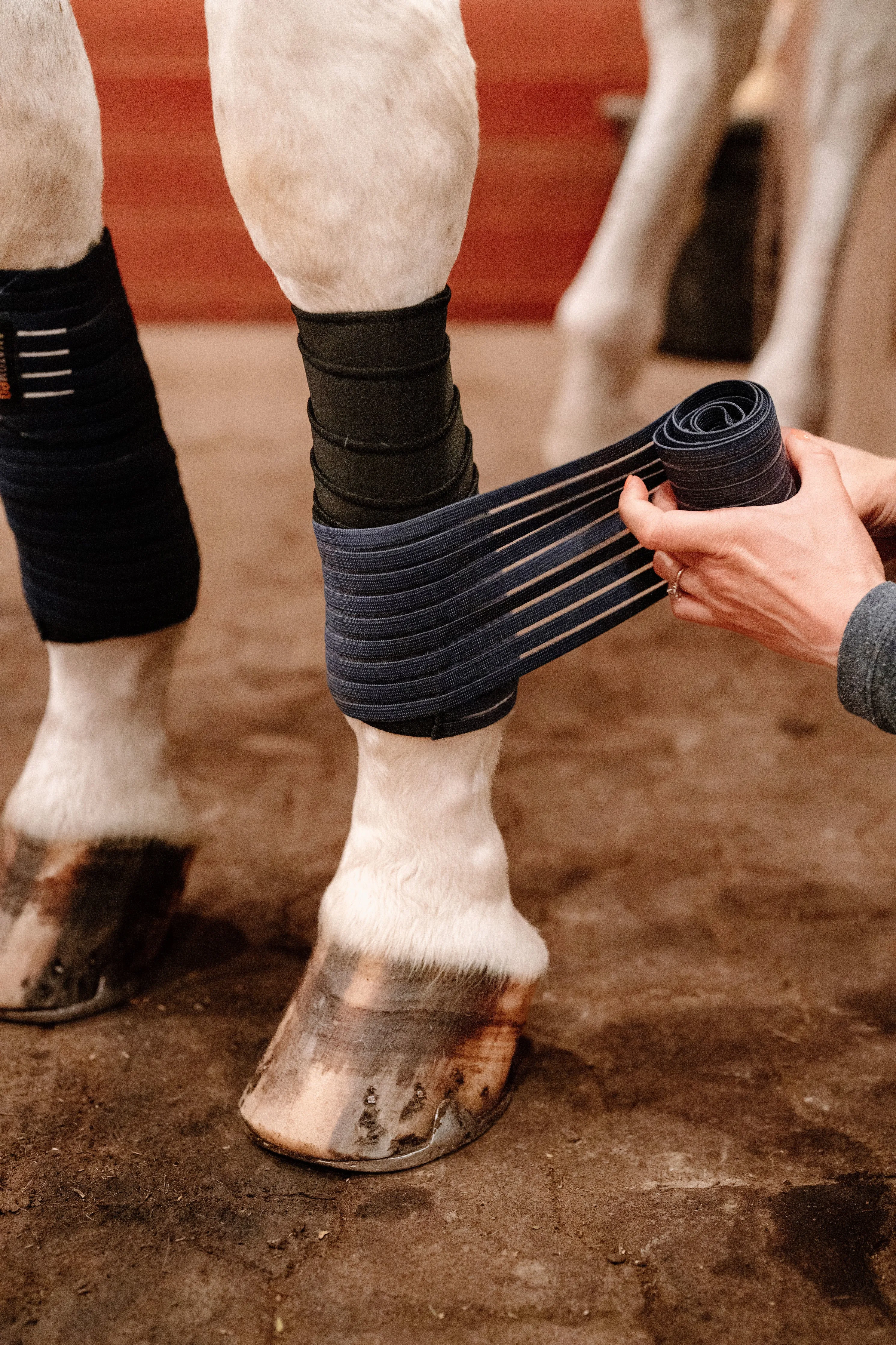 Anatomeq CoolSupport Combi Polos for Sensitive Horses