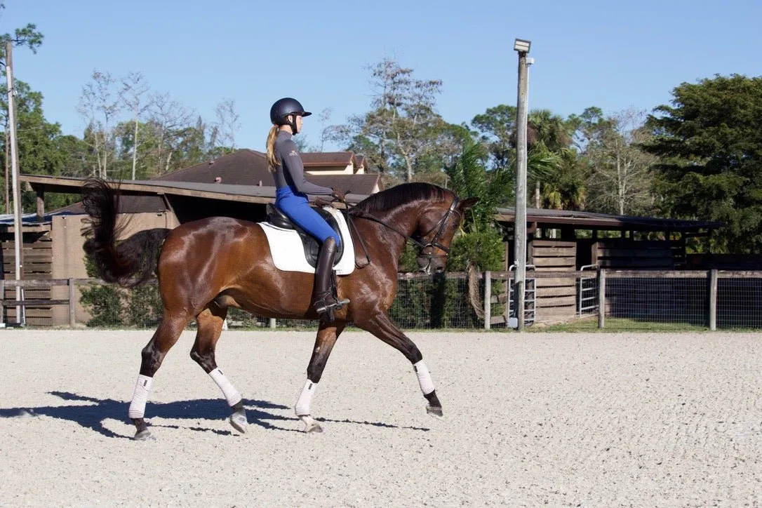 Anatomeq CoolSupport Combi Polos for Sensitive Horses