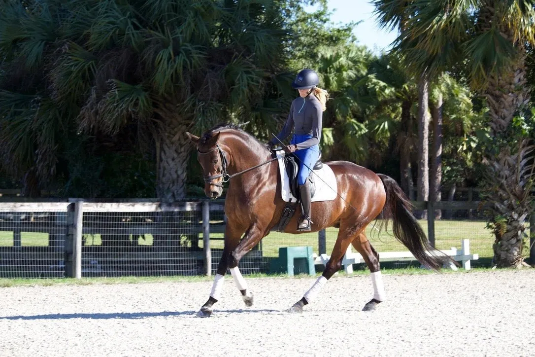 Anatomeq CoolSupport Combi Polos for Sensitive Horses