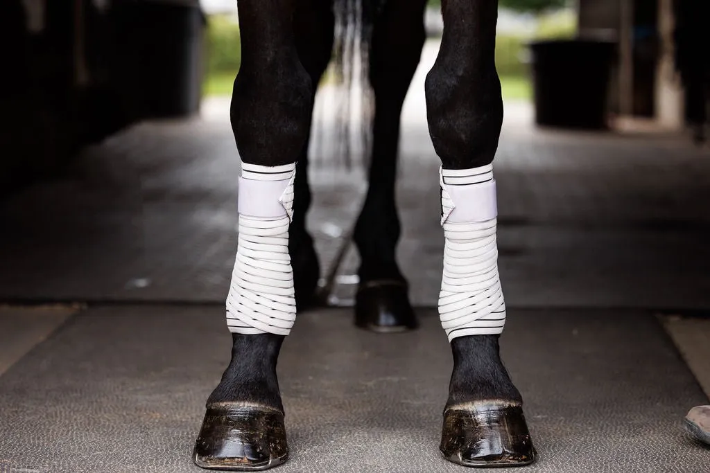 Anatomeq CoolSupport Combi Polos for Sensitive Horses