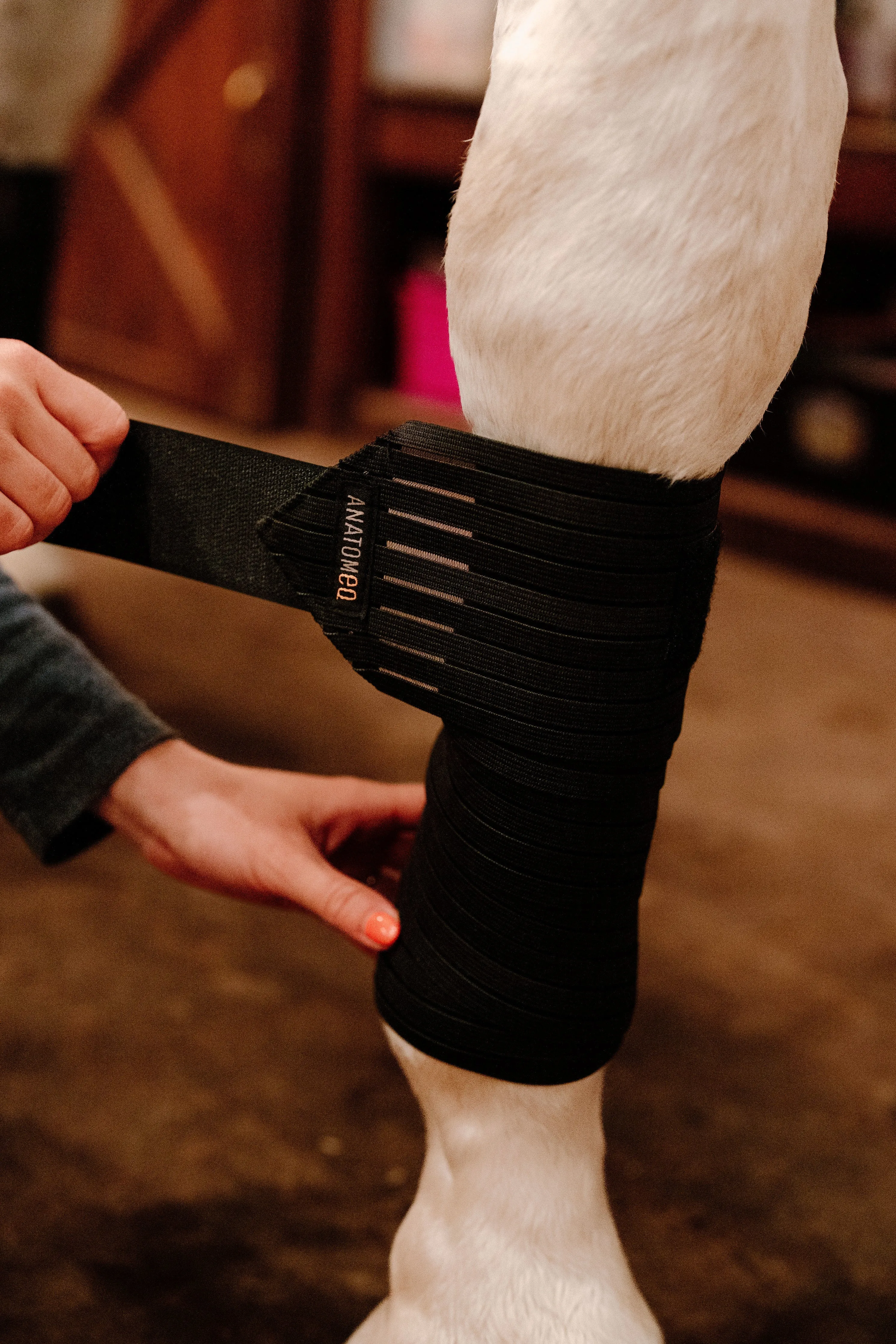 Anatomeq CoolSupport Combi Polos for Sensitive Horses