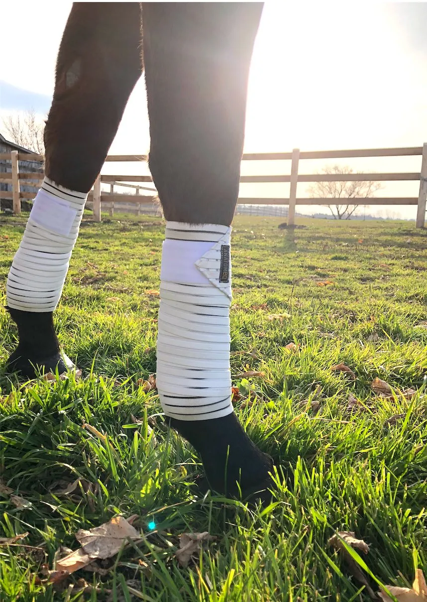 Anatomeq CoolSupport Combi Polos for Sensitive Horses