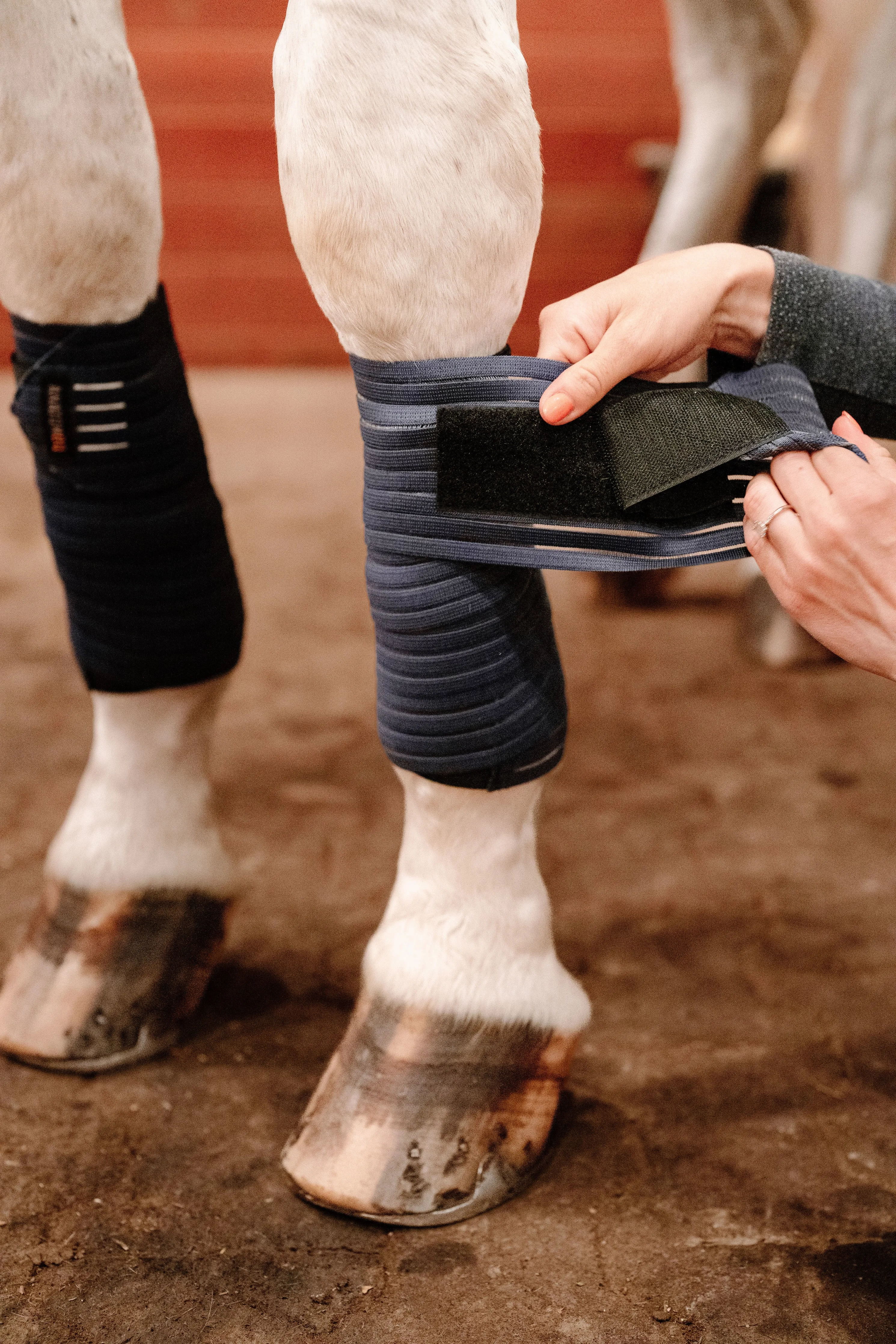 Anatomeq CoolSupport Combi Polos for Sensitive Horses