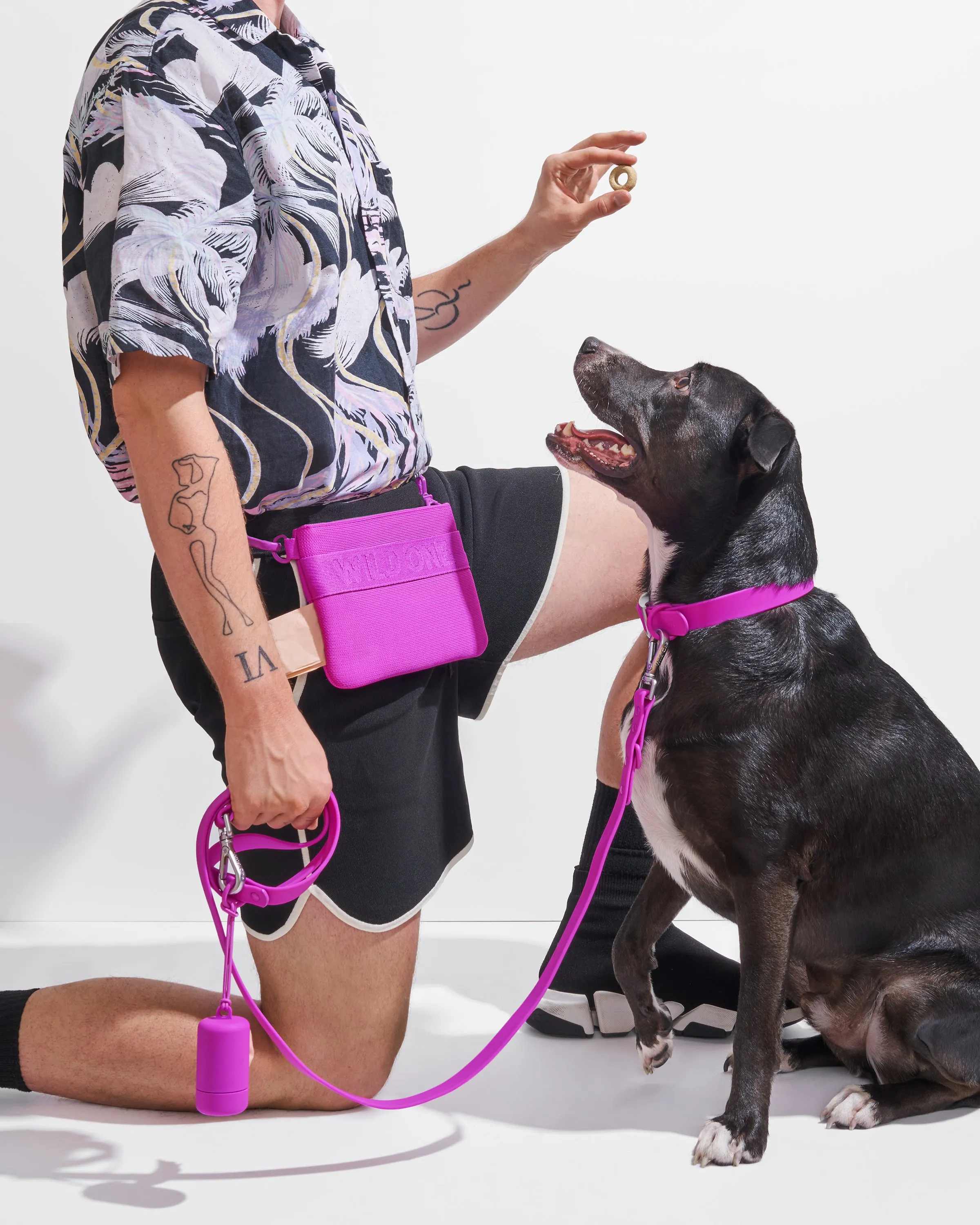 Collar Walk & Treat Kit