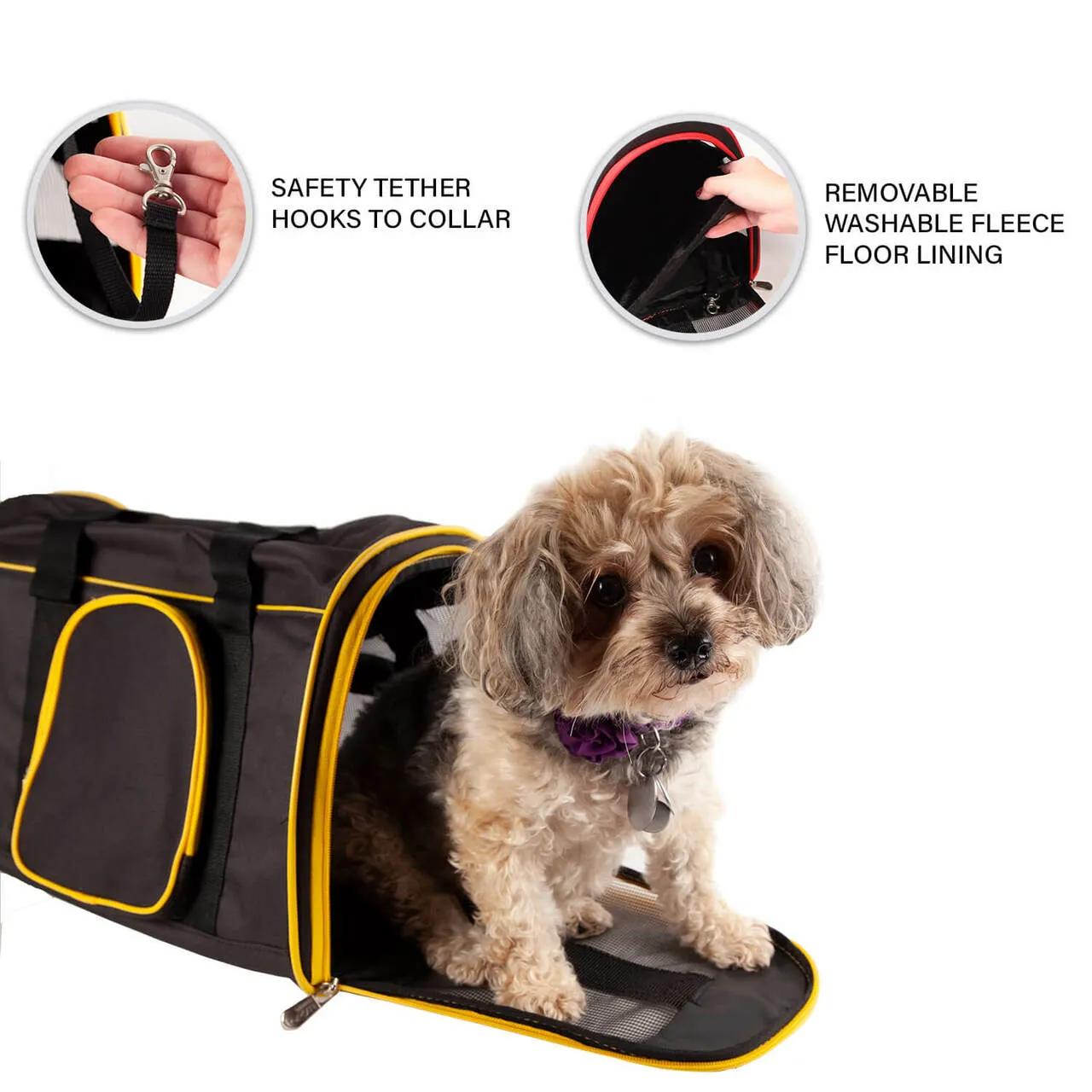 Florida 16" Premium Pet Carrier