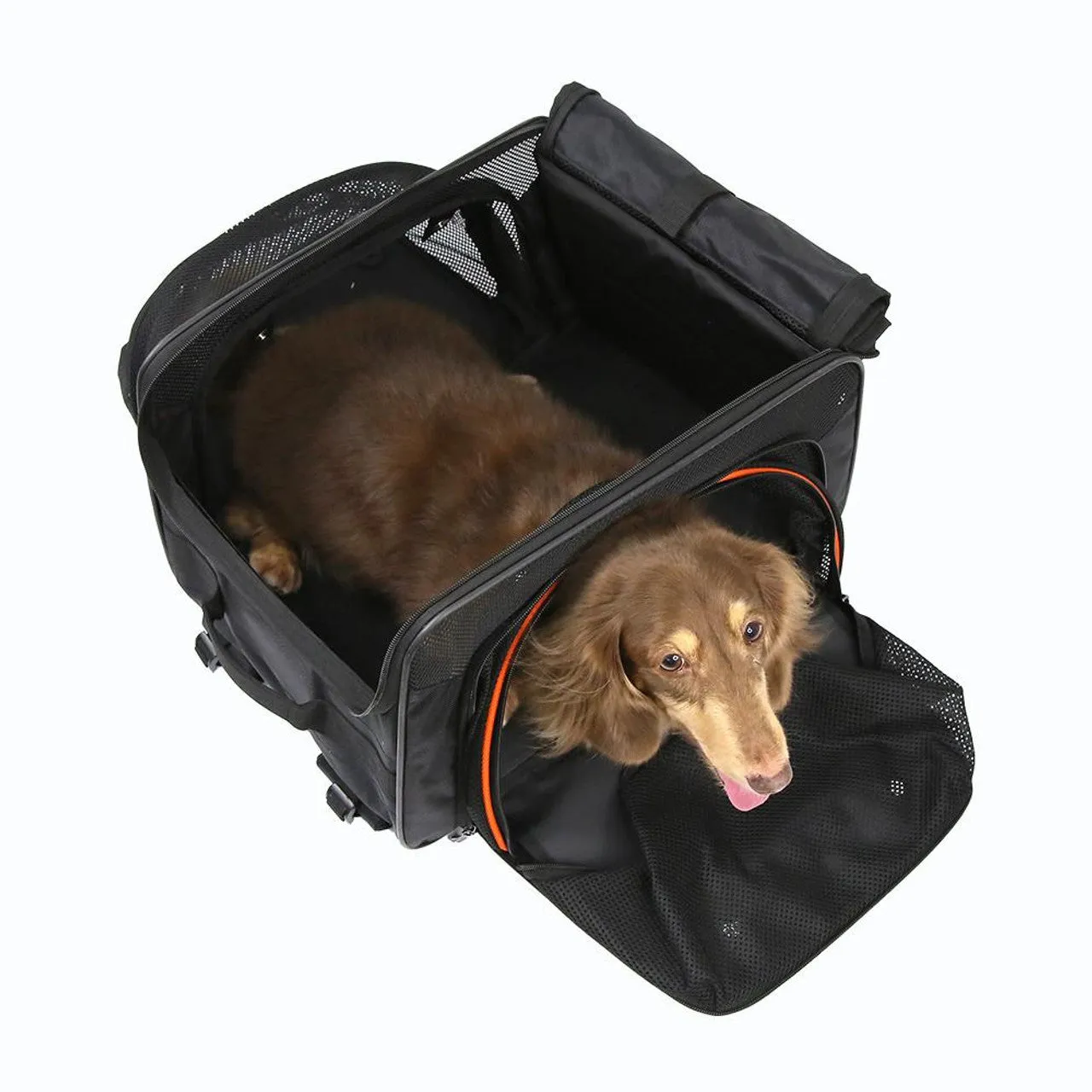 JetPaw:3-in-1 Pet Stroller with Removable Airline-Approved