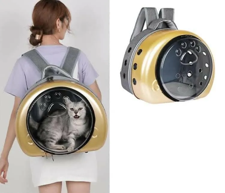 PetGains PGJB Transparent Fashionable Pet Carrier (Golden)