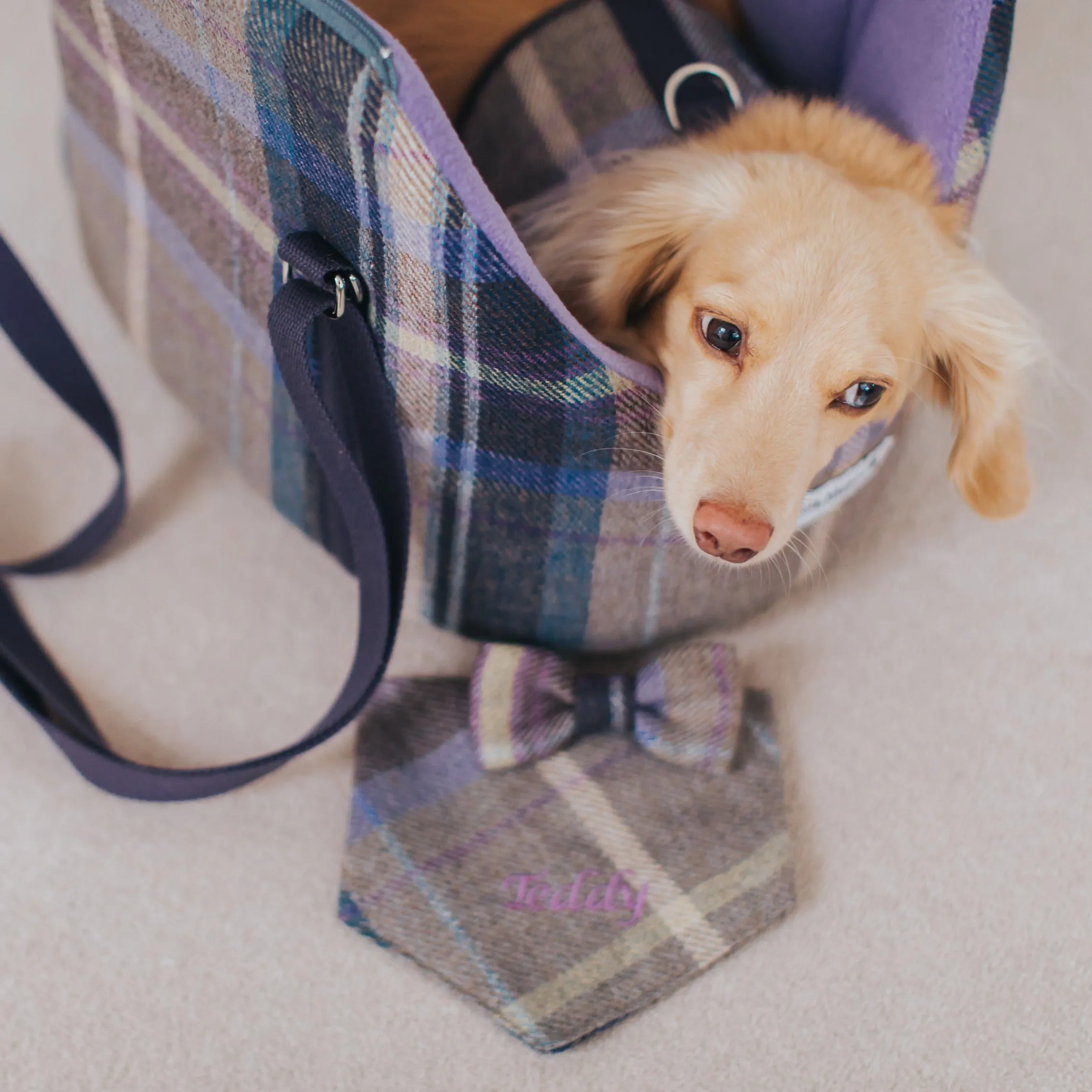 The Cambridge Adjustable Purple Taupe Soft Sided Luxury Dog Carrier